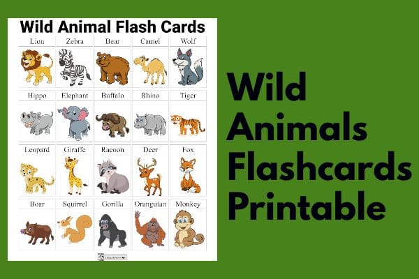 Zoo Flashcards: A Fun Way To Learn Animals!